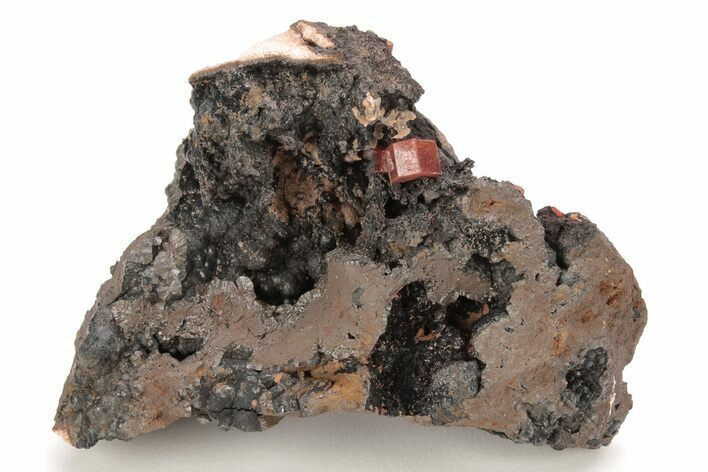 Small, Red Vanadinite Crystals on Manganese Oxide - Morocco #212003